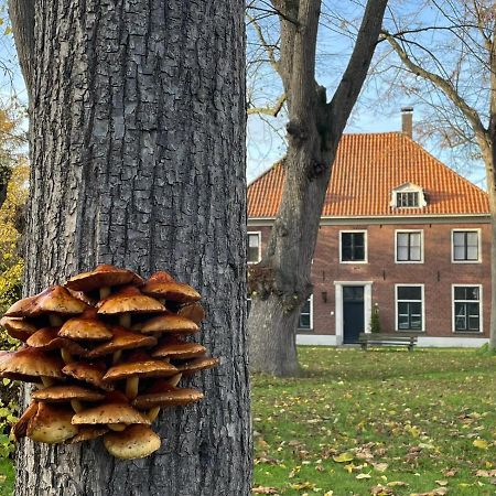 B&B Huize Placida Boxmeer Kültér fotó