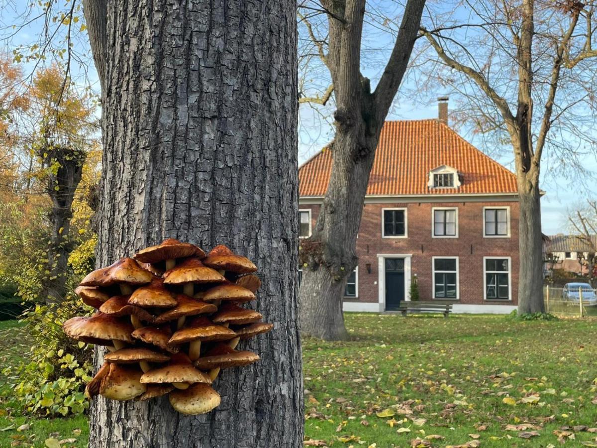 B&B Huize Placida Boxmeer Kültér fotó