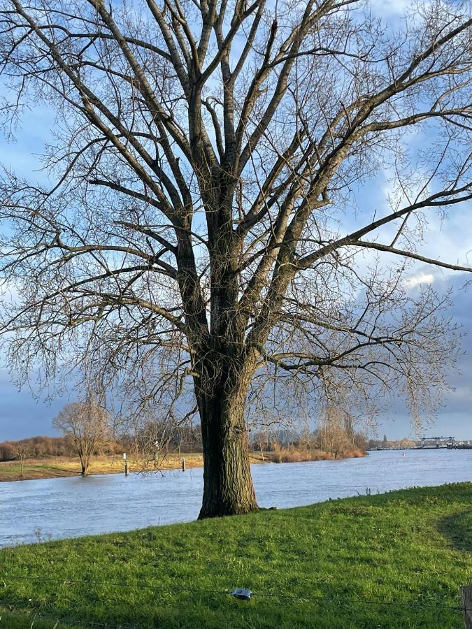 B&B Huize Placida Boxmeer Kültér fotó